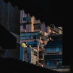 Hàng xóm của tôi không có Totoro