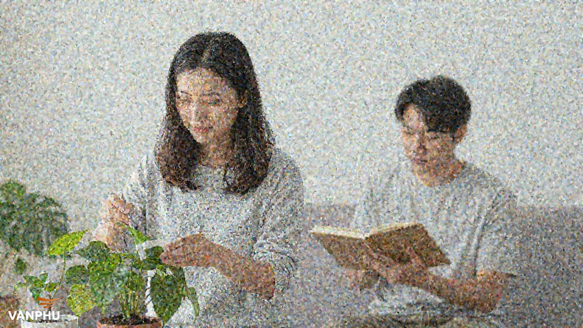 Vì sao khoảng xanh ngày càng quan trọng trong nhà ở hiện đại